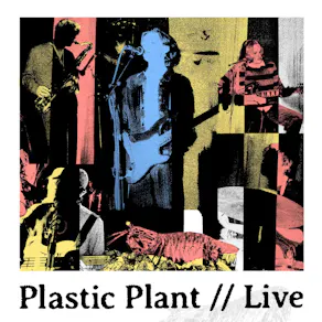 Plastic Plant