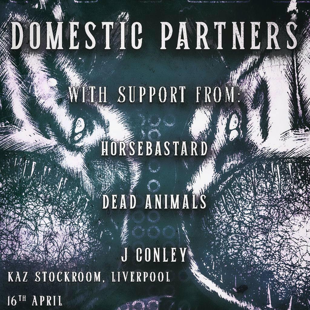 Alinea/ECA present Domestic Partners - Single Release Show at Kazimier Stockroom