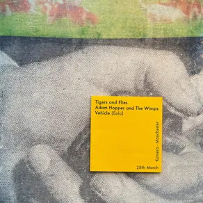 Tigers and Flies LP Fundraiser! W/ Adam Hopper + Vehicle (Solo)