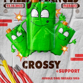 Fully Charged Raves Presents: CROSSY - DnB, Jungle, Garage