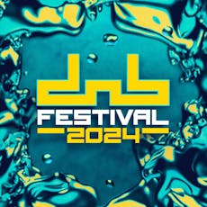 DnB Allstars Festival 2024 at Gunnersbury Park