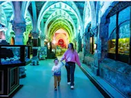 Back To School - 50% Off On Kids Prices! at Sea Life Centre