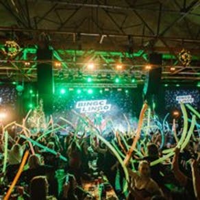 Bingo Lingo - St Patrick's Special