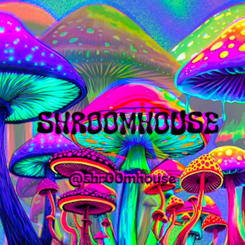 Shroomhouse at Some Place