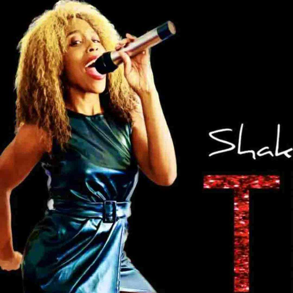 Tina Turner Tribute Night - Manchester at Patricroft Conservative Club