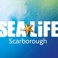 Sea Life Scarborough Standard Admission at Sealife Center Scarborough