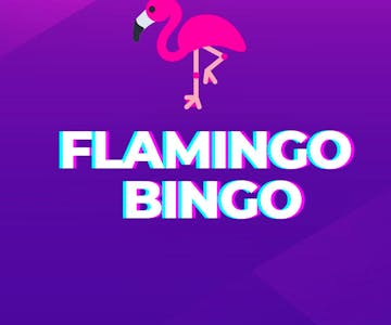 Flamingo Bingo- 90's House & Anthems