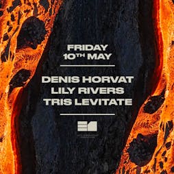 Denis Horvat Tickets | E1 Unit 2, 110 Pennington St, London E1W 2BB London  | Fri 10th May 2024 Lineup