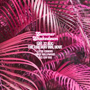 Summer Shakedown Sat 22nd Aug at Railway Inn