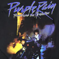 Immersive Music Club - Purple Rain by Prince & the Revolution at Winmarleigh House