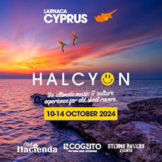Halcyon at Larnaca Cyprus