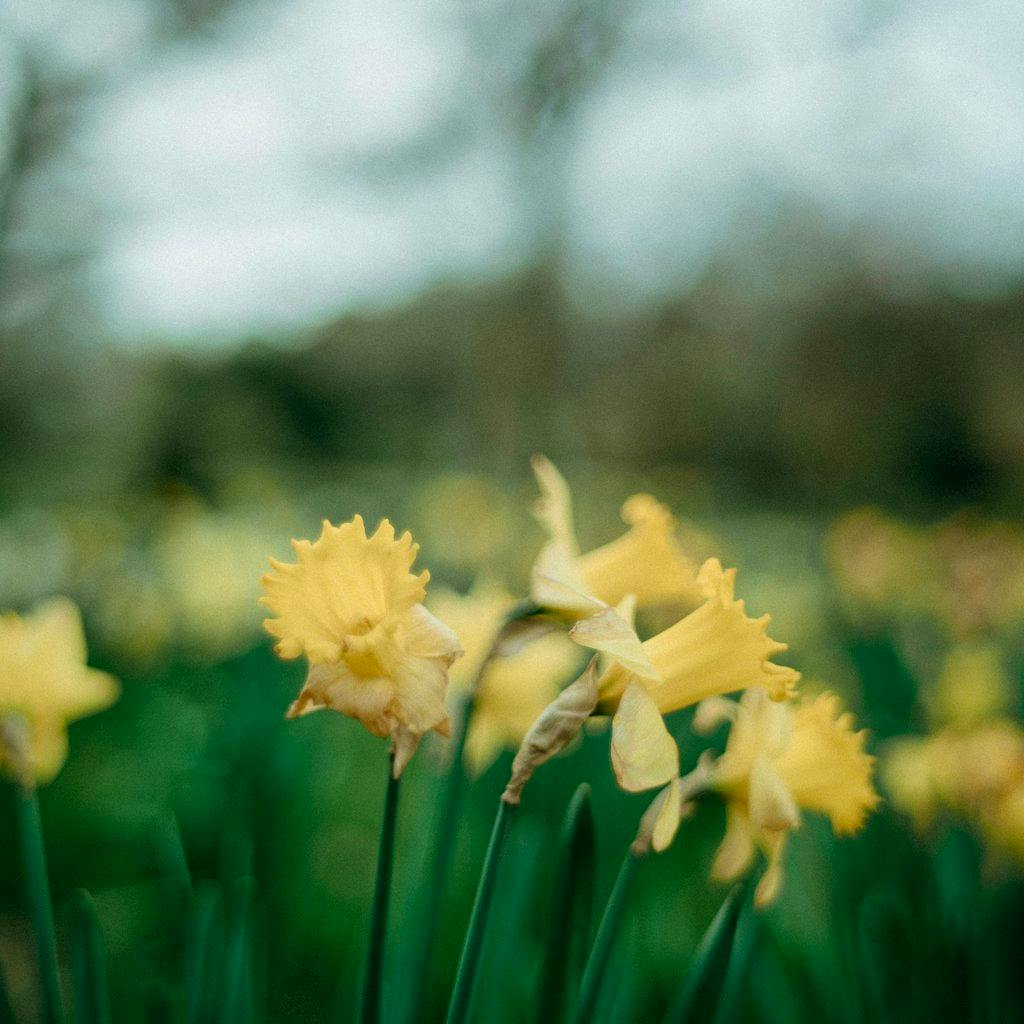 Conscious Connected Breathwork with Lyndsey & Anna at The Wild Box