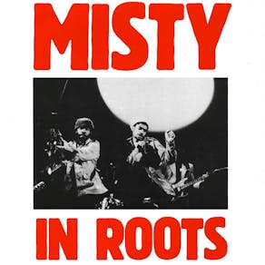 Misty In Roots