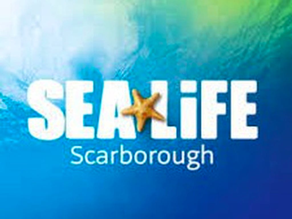 Sea Life Scarborough Anytime Entry at Sealife Center Scarborough