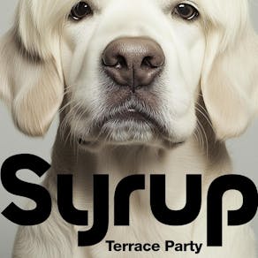 SYRUP  (terrace party)