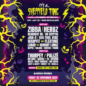 It's A Sheffield Ting - Halloween Rave