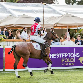 Chestertons Polo in the Park 2026