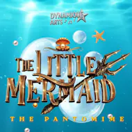 The Little Mermaid- Pantomime at The Point Events Venue