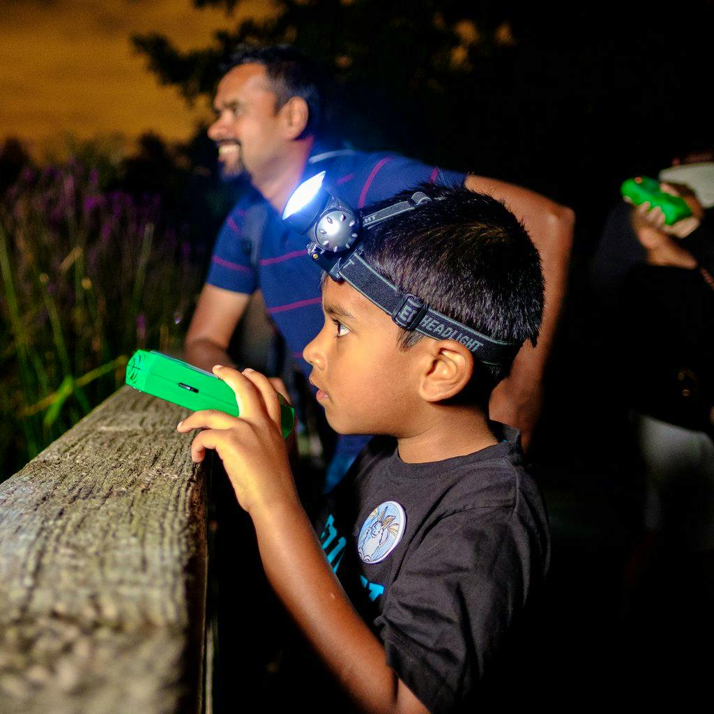 Junior Bat Walks at WWT London Wetland Centre