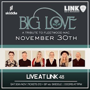 Big Love: A Tribute to Fleetwood Mac