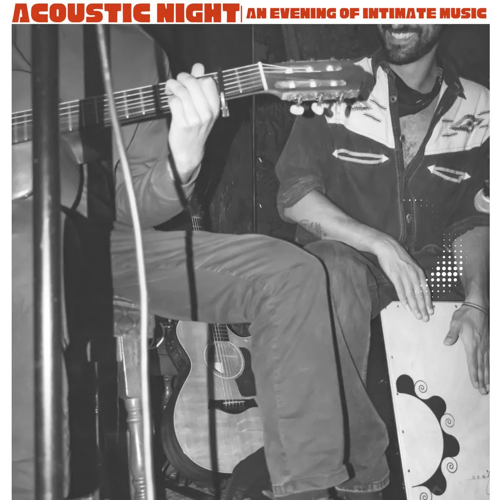 The Acoustic Night | An Evening of Intimate Music at The Bees Mouth
