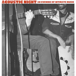 The Acoustic Night | An Evening of Intimate Music