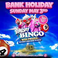 Barmy Bingo - Sunday 3rd May (bank holiday) at Velvet Panache Peterborough