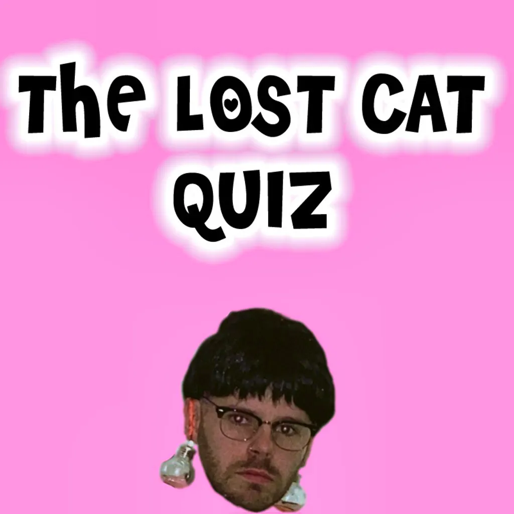 The Lost Cat Quiz at Lost Cat