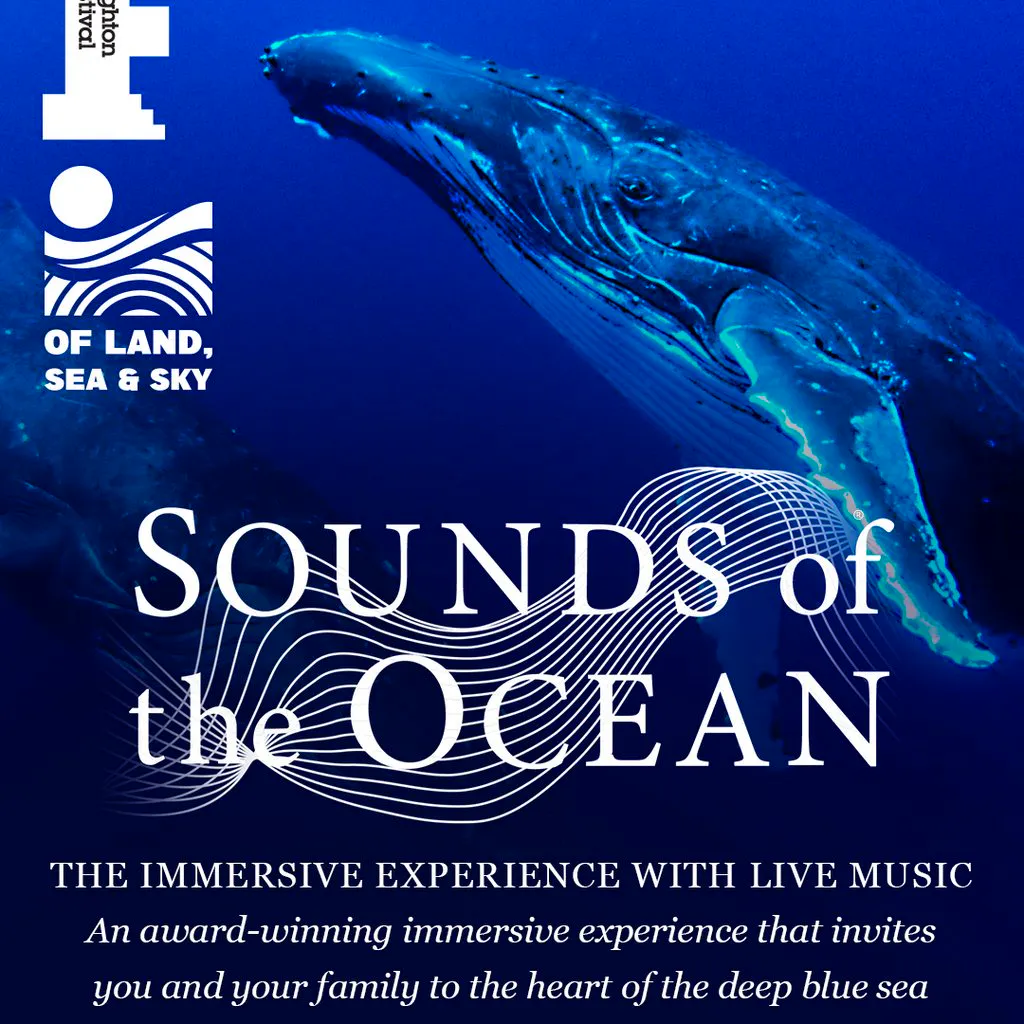 Sounds Of The Ocean at The Old Market