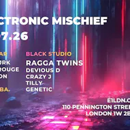 Electronic Mischief at E1