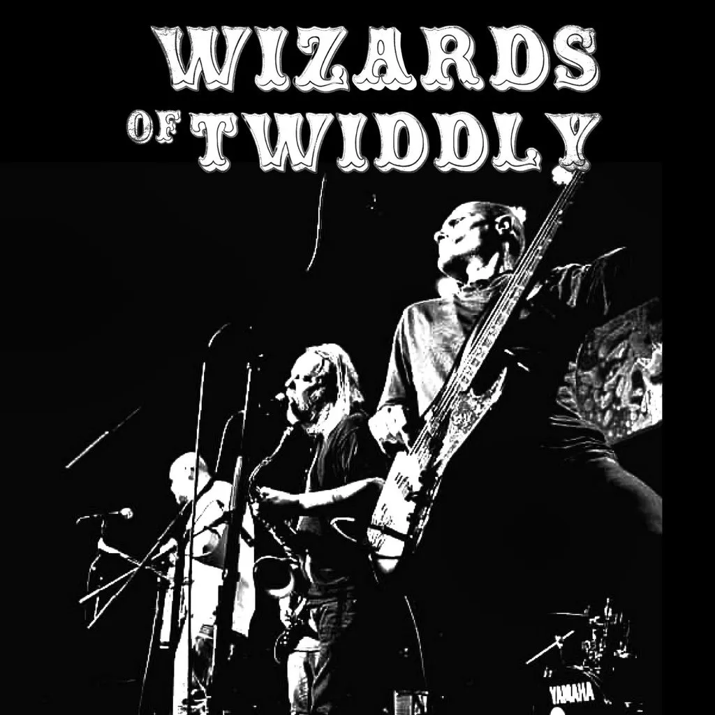 Wizards of Twiddly Live at Archive Liverpool at Archive Liverpool