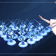 Swan Lake at Coliseum London