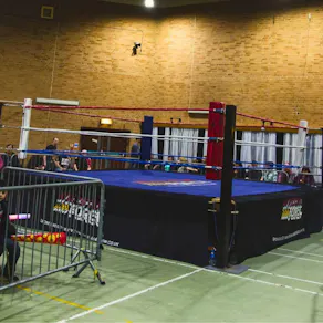 Wrestling in Harlow!