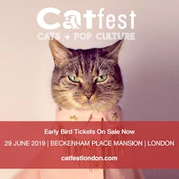 Catfest Tickets | Beckenham Place Mansion Beckenham  | Sat 29th June 2019 Lineup