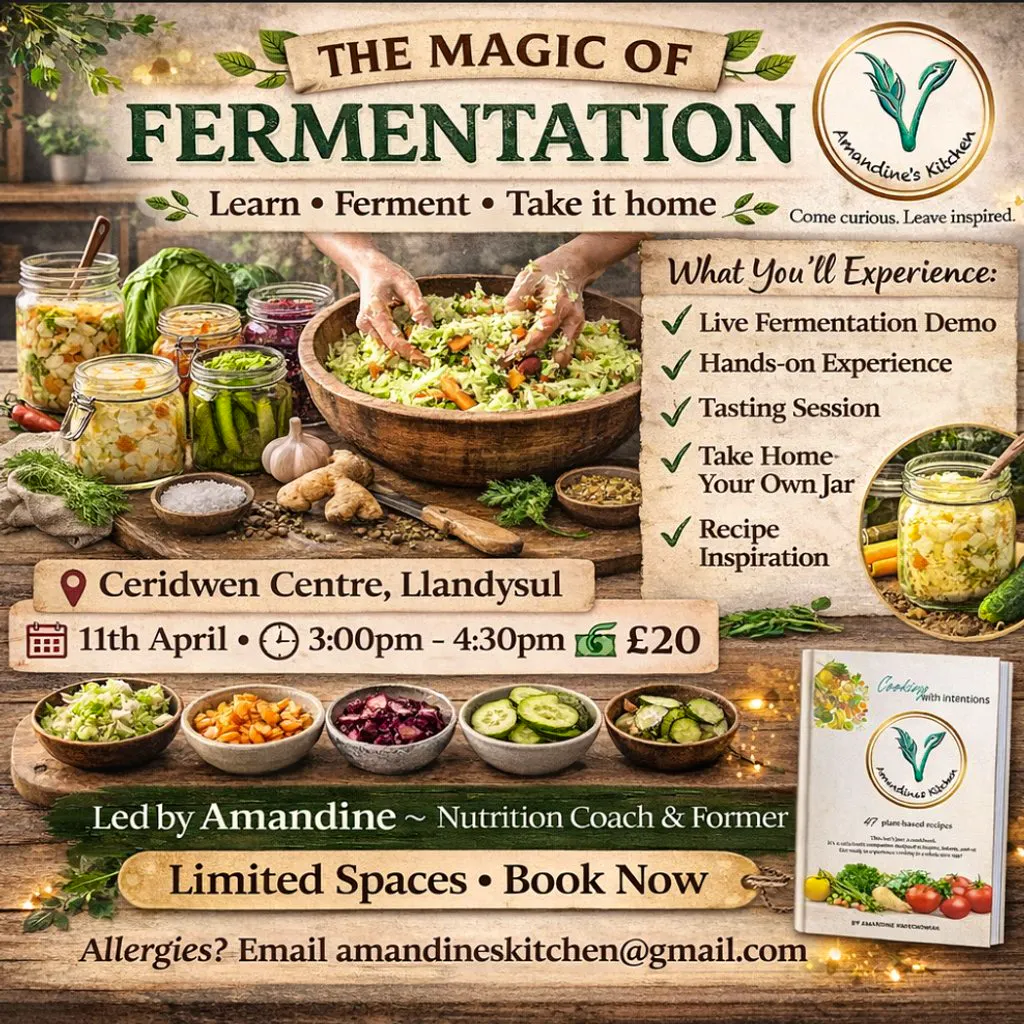 The magic of fermention workshop at Ceridwen Center