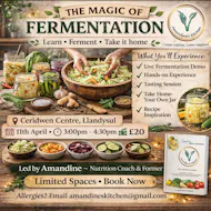 The magic of fermention workshop at Ceridwen Center
