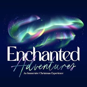 The Enchanted Adventures - Himley Hall Christmas Light Trail