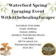 Waterford Foraging Walk at Waterford Heath Car Park