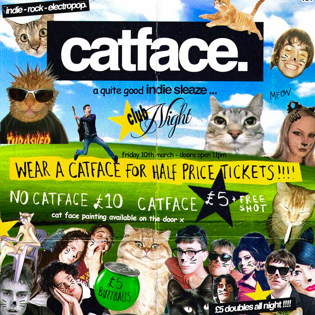 CatFace at Chalk Brighton