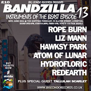 Big Condo Records presents Bandzilla 13