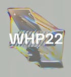 WHP22 - Solid Grooves