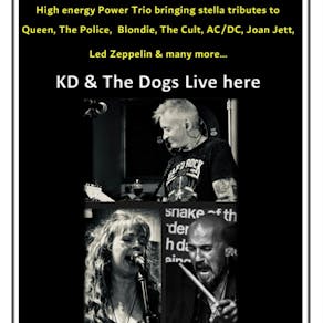 KD and The Dogs - Live Band