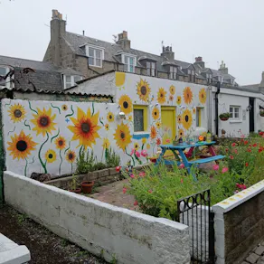Old Harbour and Footdee Walking Tour