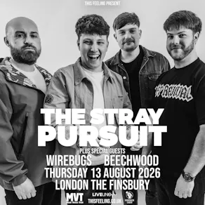 The Stray Pursuit - London