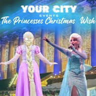 The Princesses Christmas Wish - 4:00pm - 5:00pm at St Georges Hall