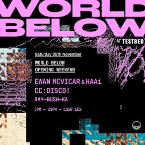 World Below presents: Ewan McVicar B2B HAAi + more