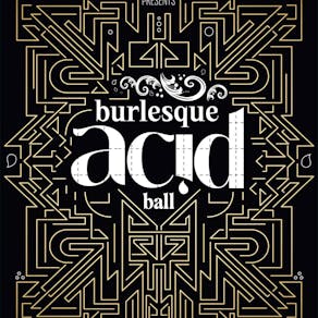 The Acid Burlesque Ball With Hardfloor and Rob Acid