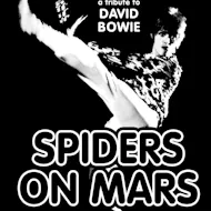 A Tribute To David Bowie by Spiders On Mars at The Bungalow Bar