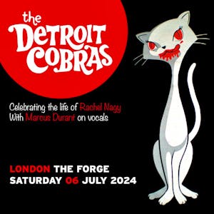 The Detroit Cobras