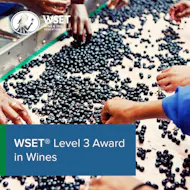 WSET Level 3 Award in Wines at Novotel Reading Centre